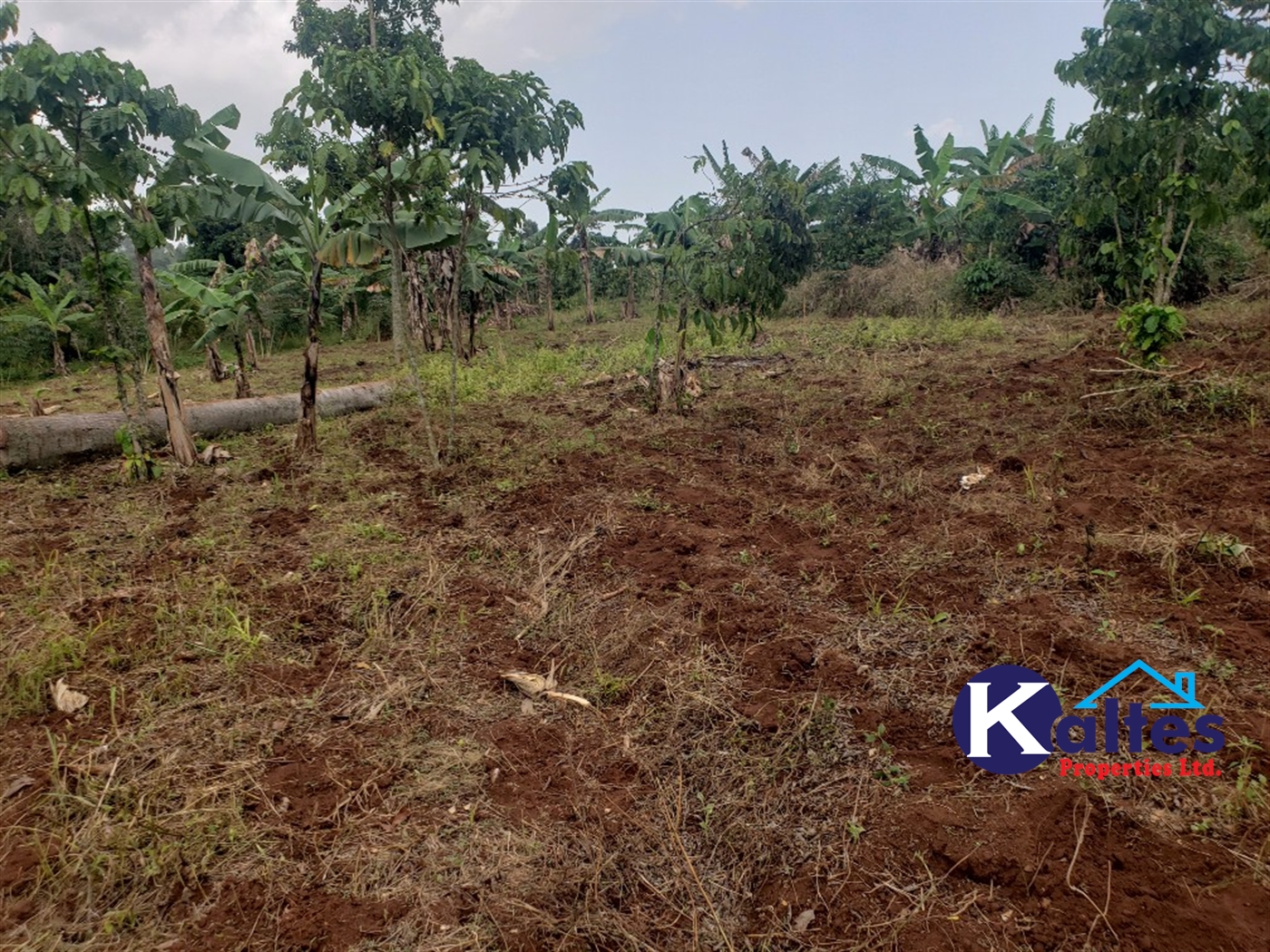 Agricultural Land for sale in Buwola Buyikwe