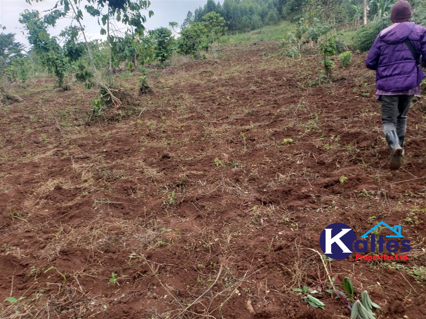 Agricultural Land for sale in Buwola Buyikwe