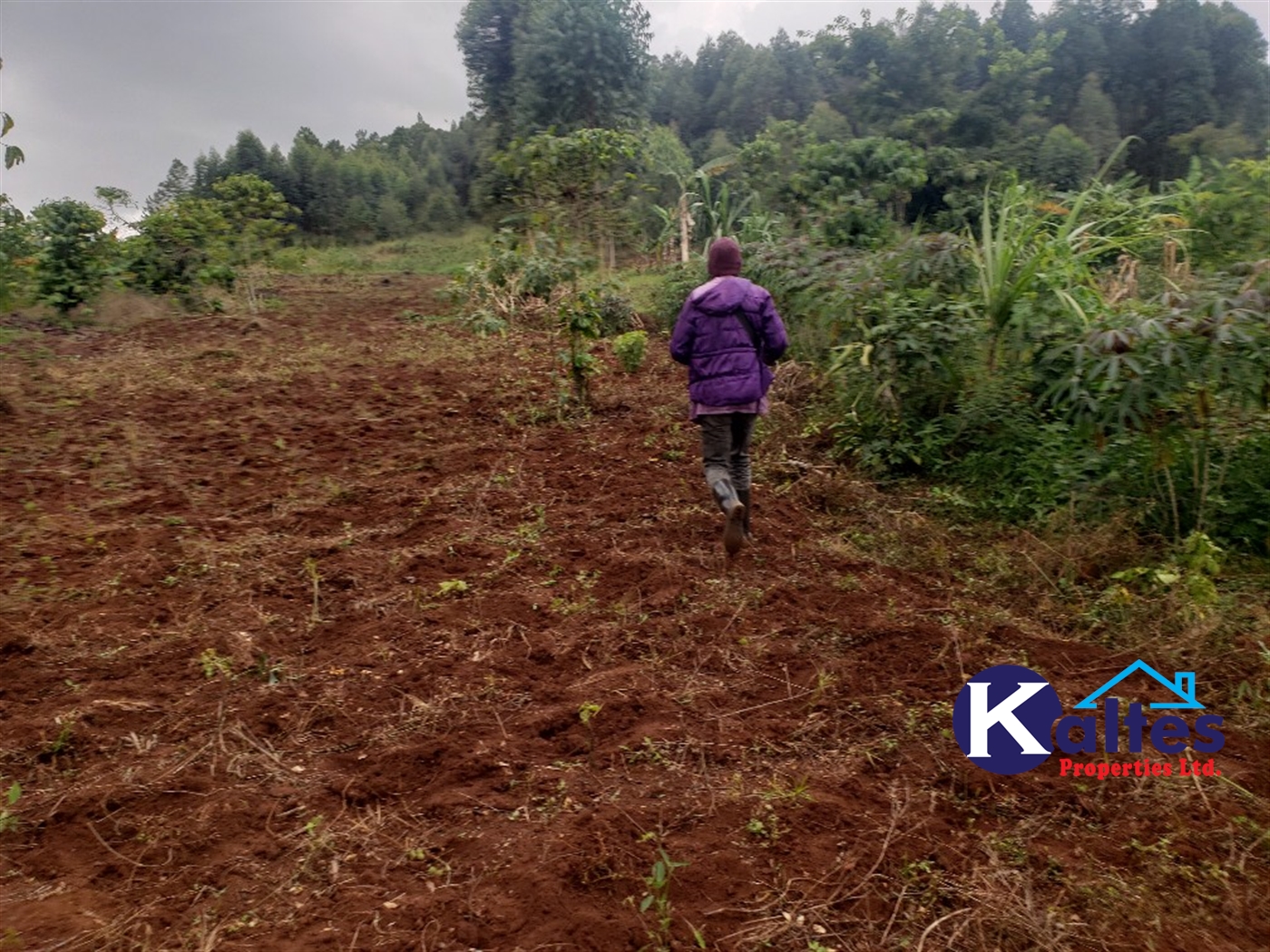 Agricultural Land for sale in Buwola Buyikwe