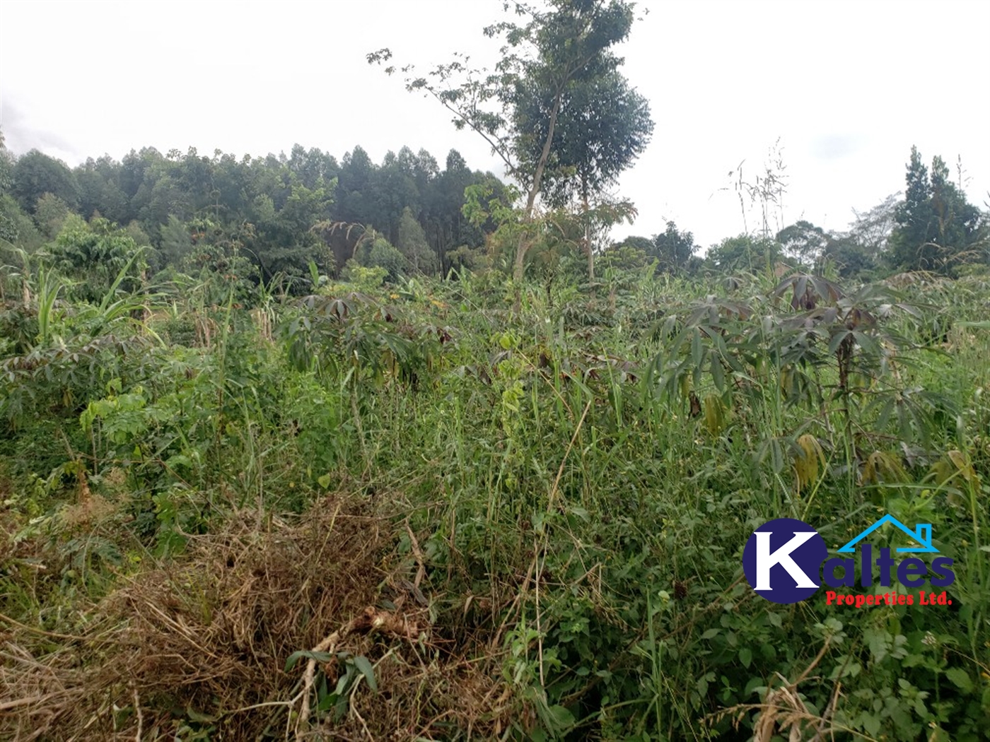 Agricultural Land for sale in Buwola Buyikwe
