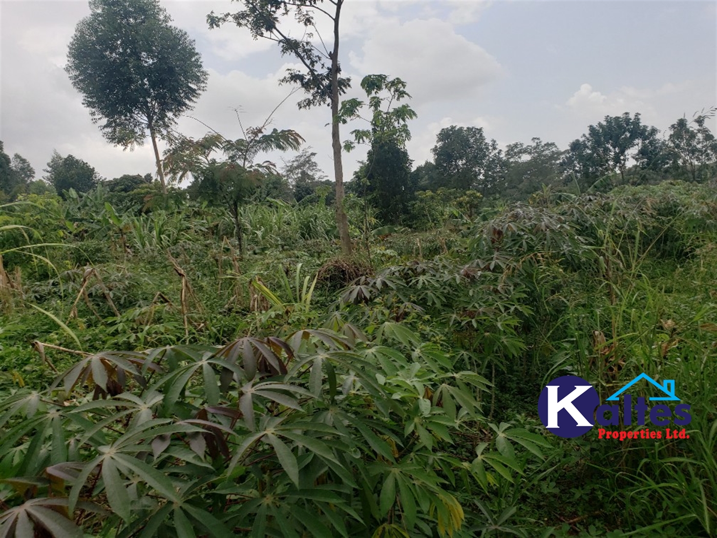 Agricultural Land for sale in Buwola Buyikwe