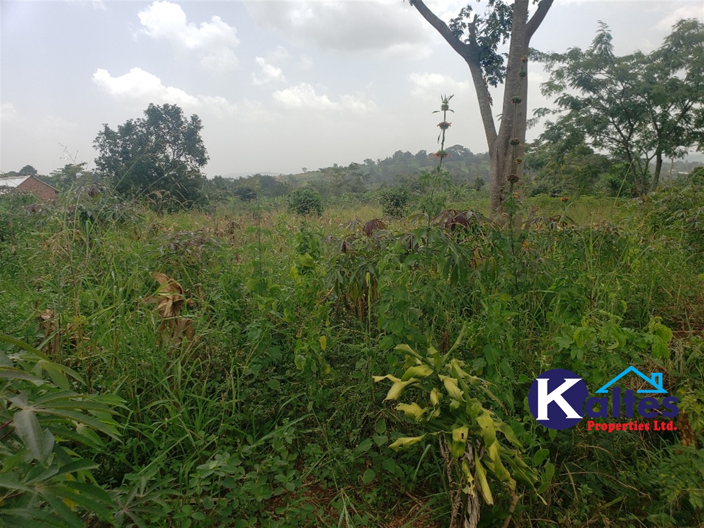 Agricultural Land for sale in Buwola Buyikwe