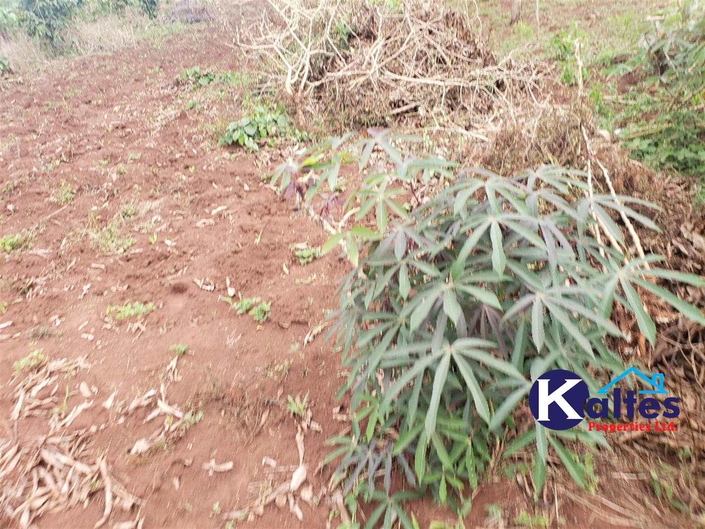 Agricultural Land for sale in Buwola Buyikwe