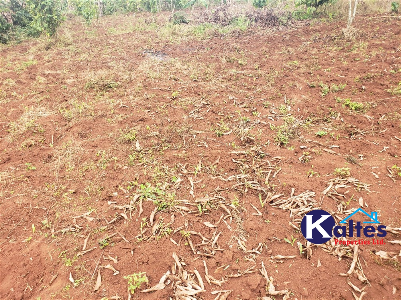 Agricultural Land for sale in Buwola Buyikwe