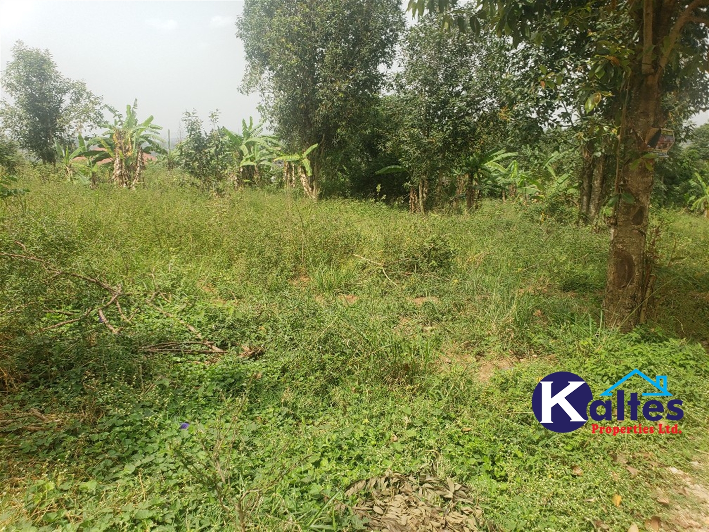 Agricultural Land for sale in Sugu Buyikwe