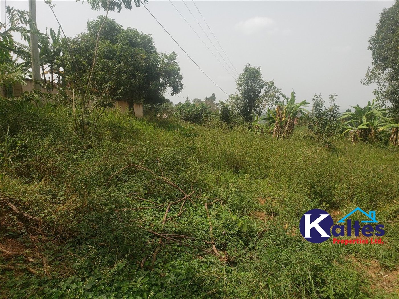 Agricultural Land for sale in Sugu Buyikwe