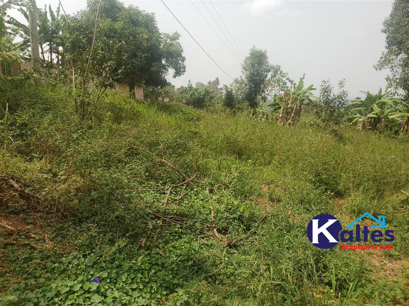 Agricultural Land for sale in Sugu Buyikwe