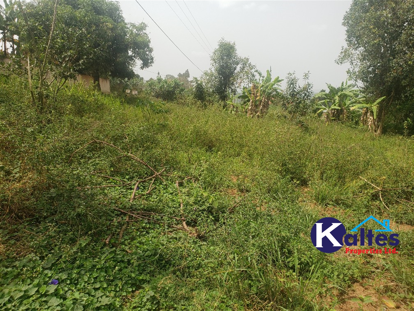 Agricultural Land for sale in Sugu Buyikwe