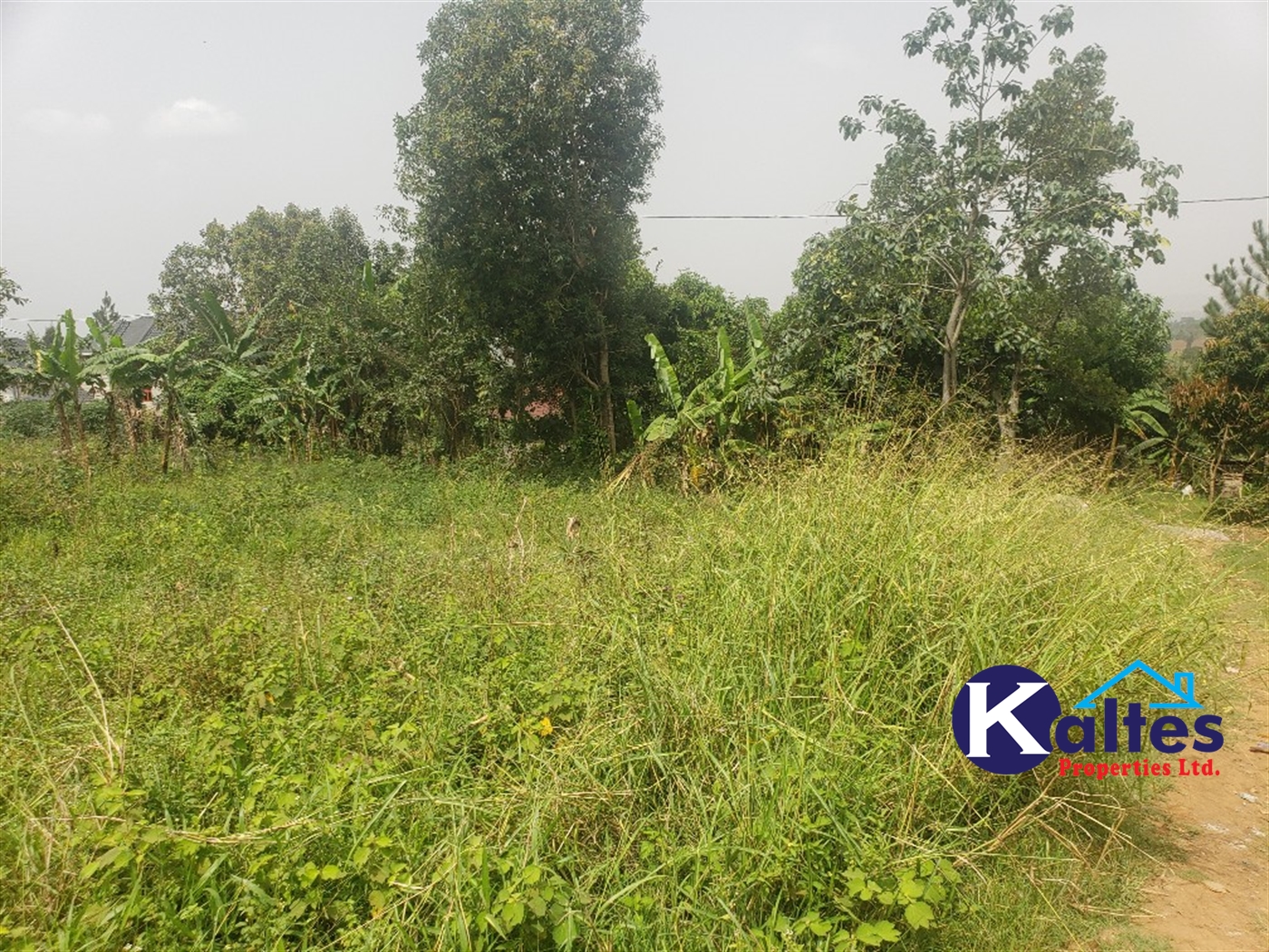 Agricultural Land for sale in Sugu Buyikwe