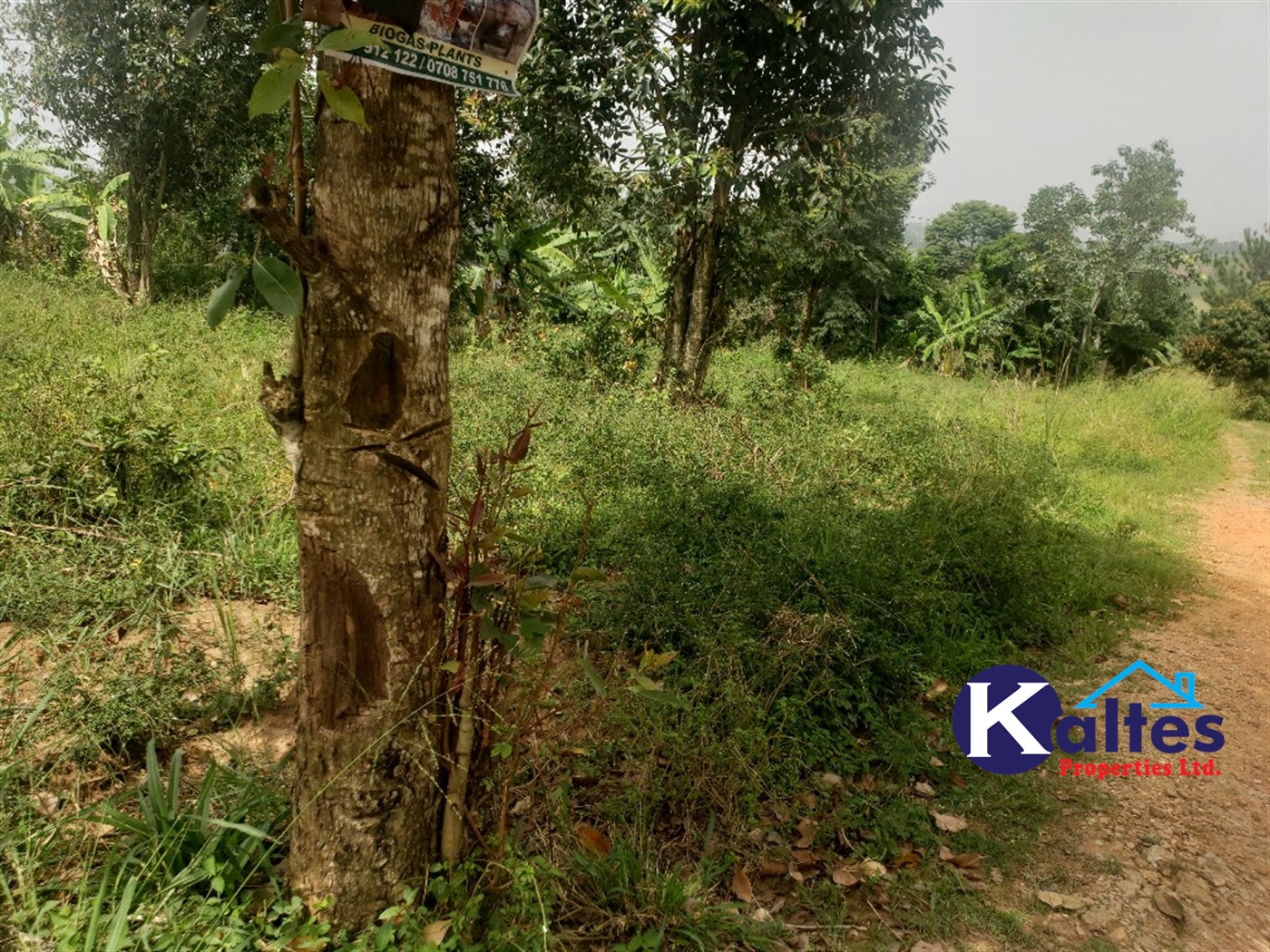 Agricultural Land for sale in Sugu Buyikwe