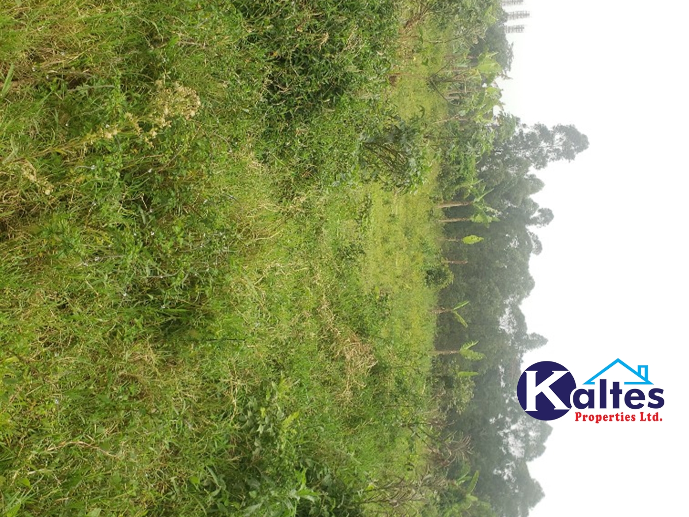 Agricultural Land for sale in Sugu Buyikwe