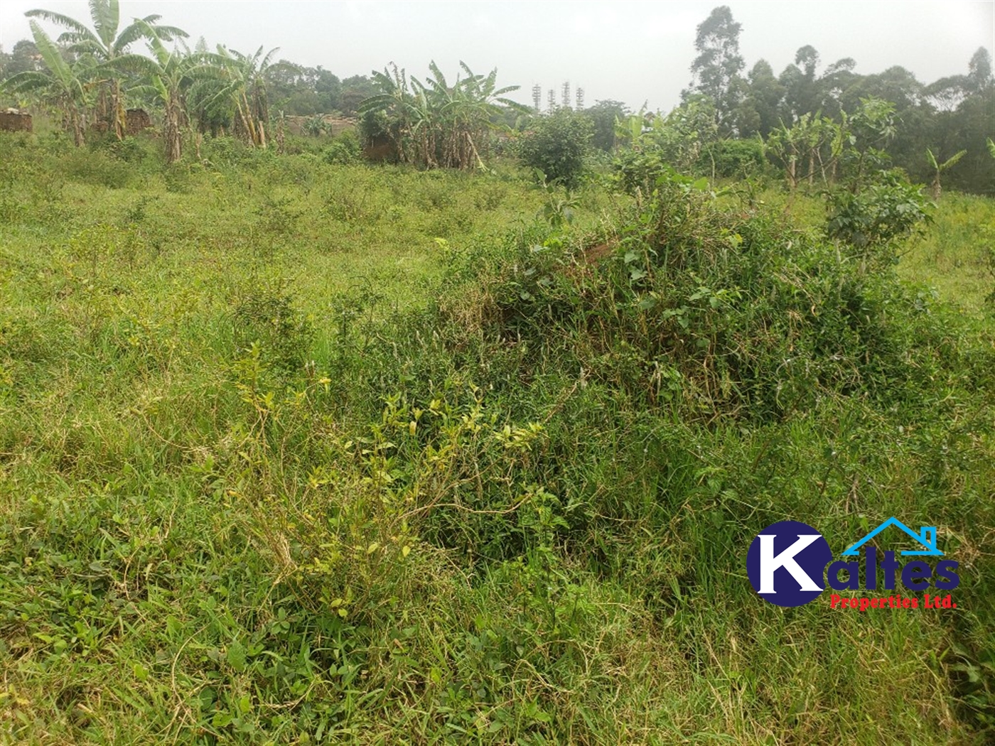 Agricultural Land for sale in Sugu Buyikwe