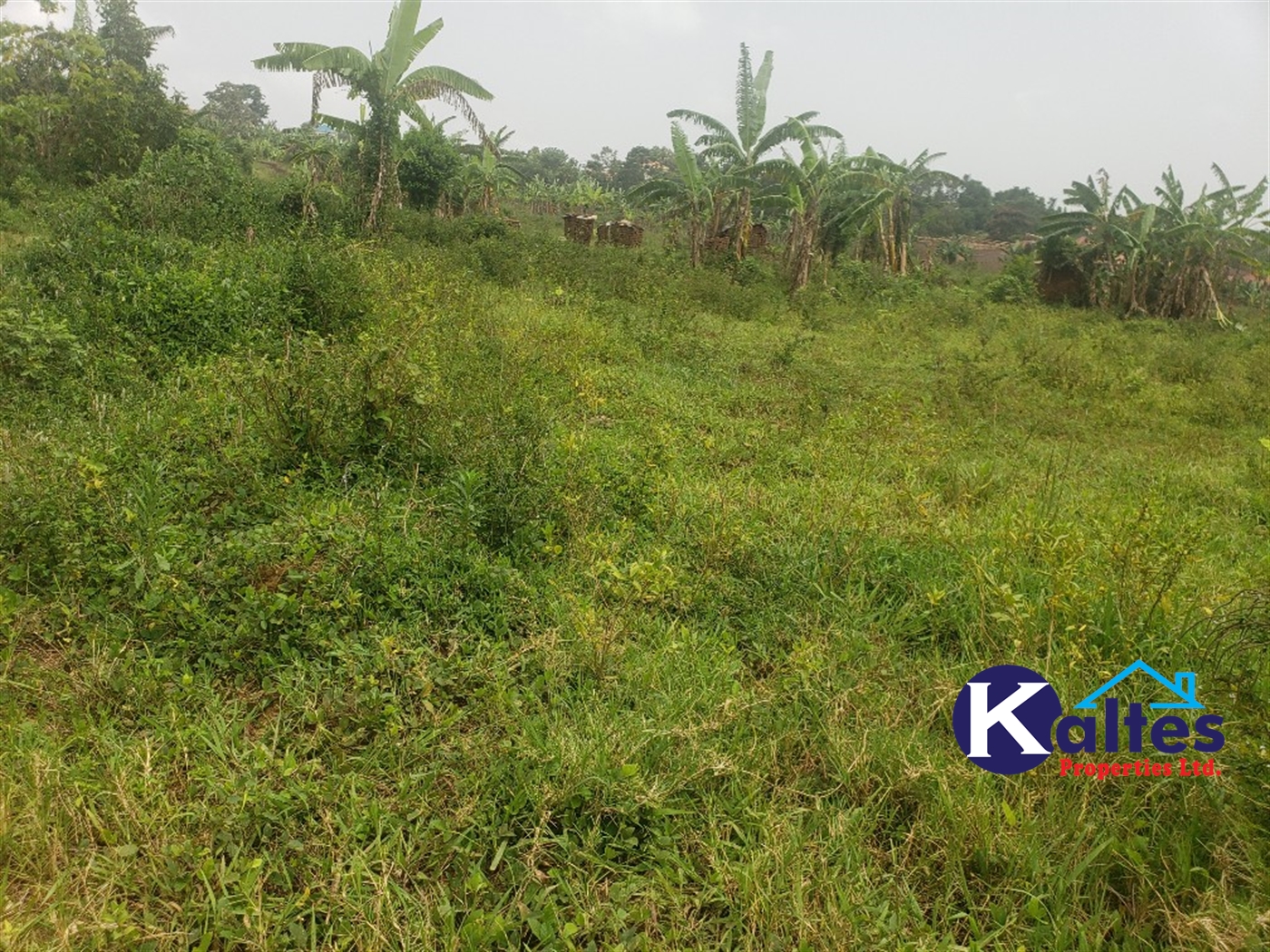 Agricultural Land for sale in Sugu Buyikwe