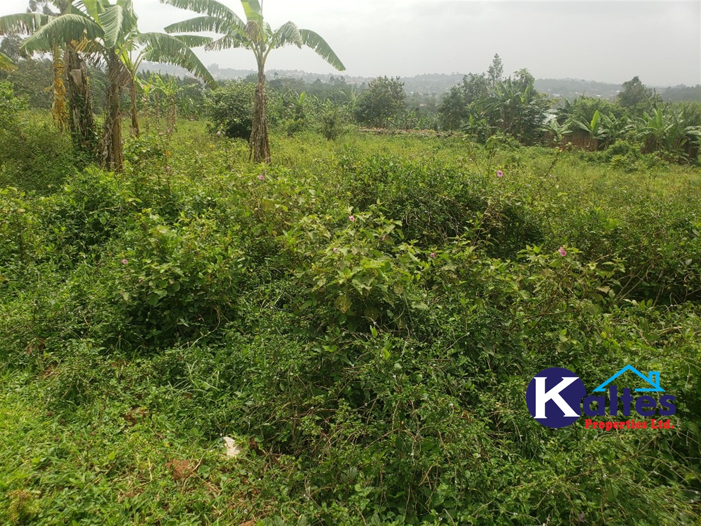 Agricultural Land for sale in Sugu Buyikwe