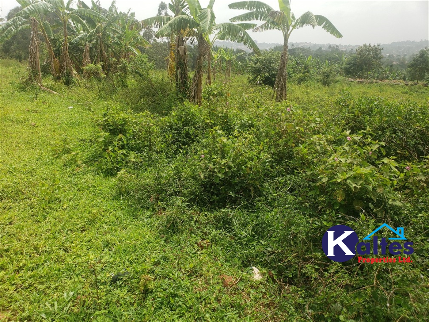 Agricultural Land for sale in Sugu Buyikwe