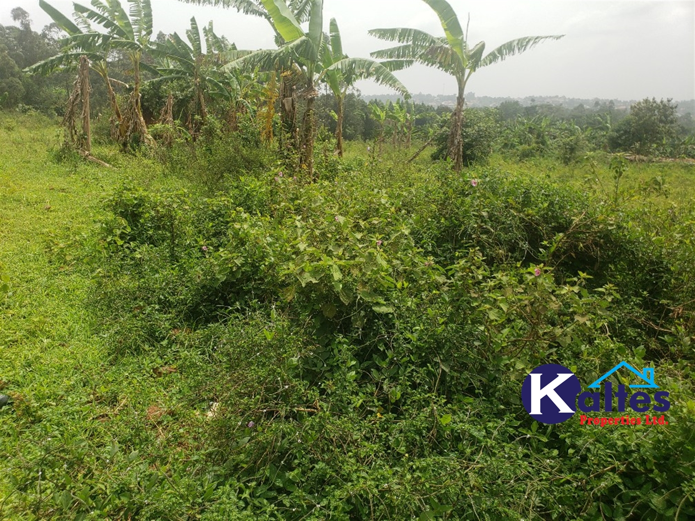Agricultural Land for sale in Kizigo Buyikwe