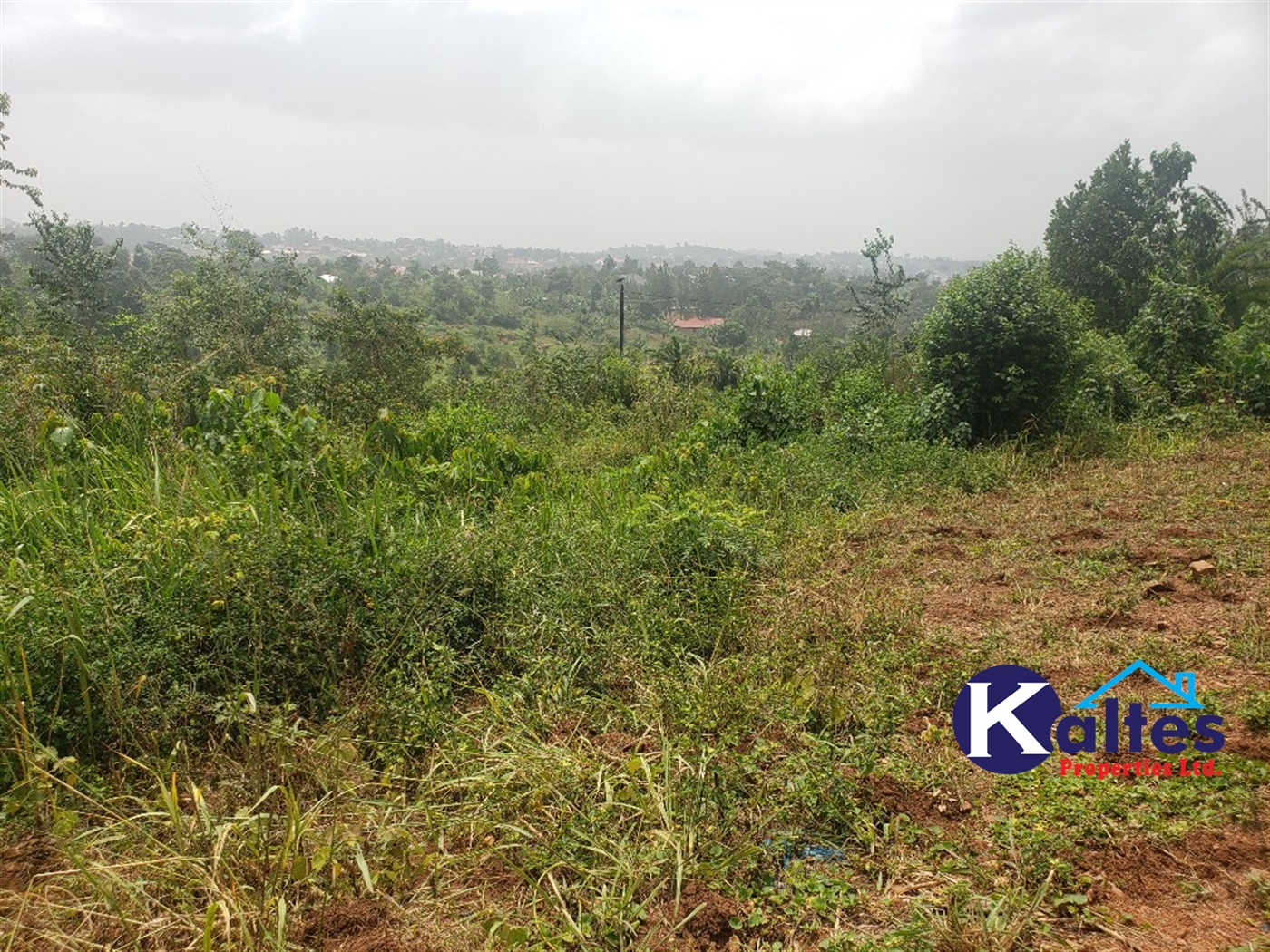 Agricultural Land for sale in Kizigo Buyikwe