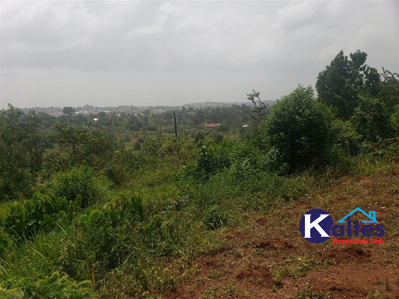 Agricultural Land for sale in Kizigo Buyikwe