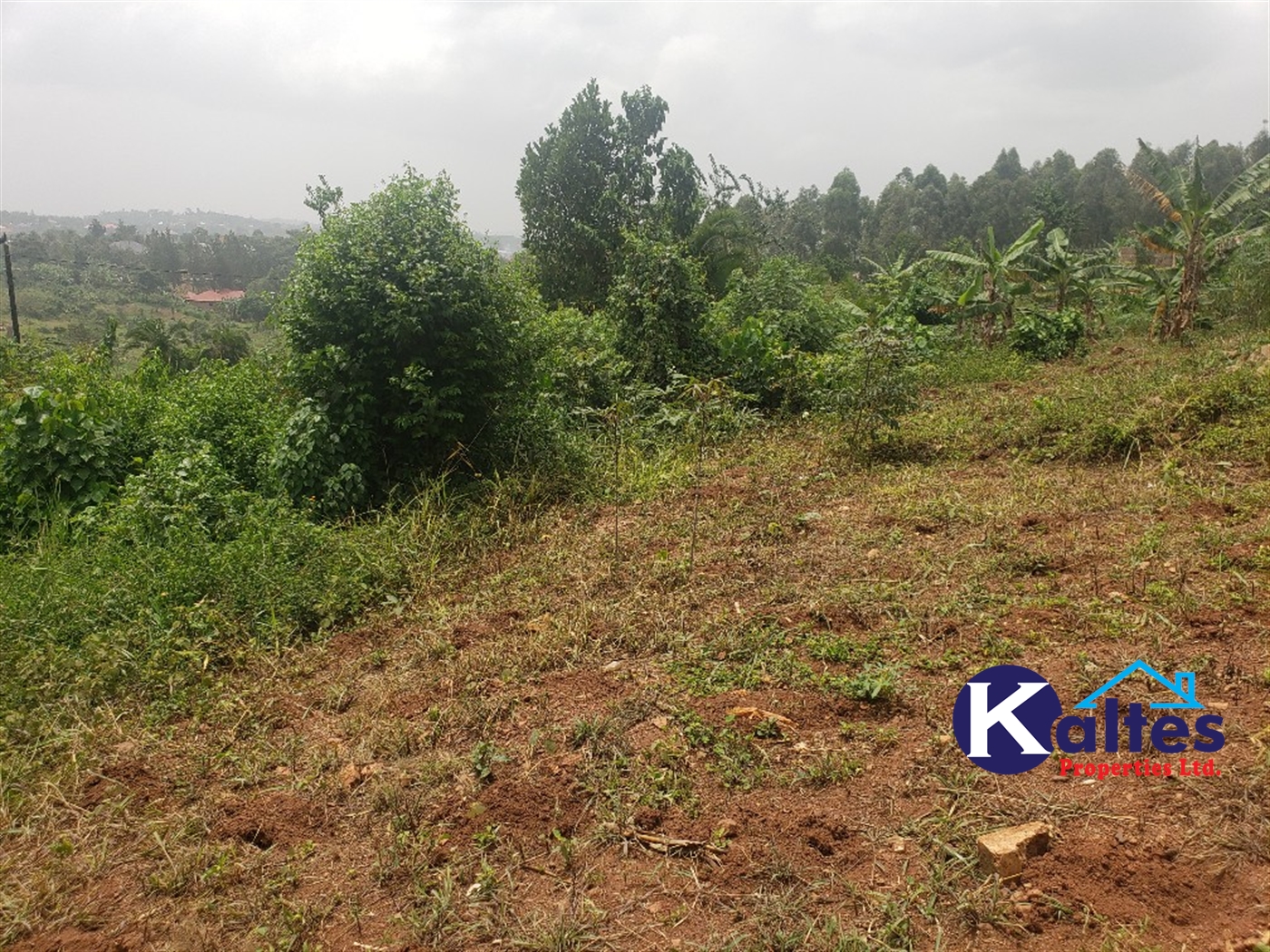 Agricultural Land for sale in Kizigo Buyikwe