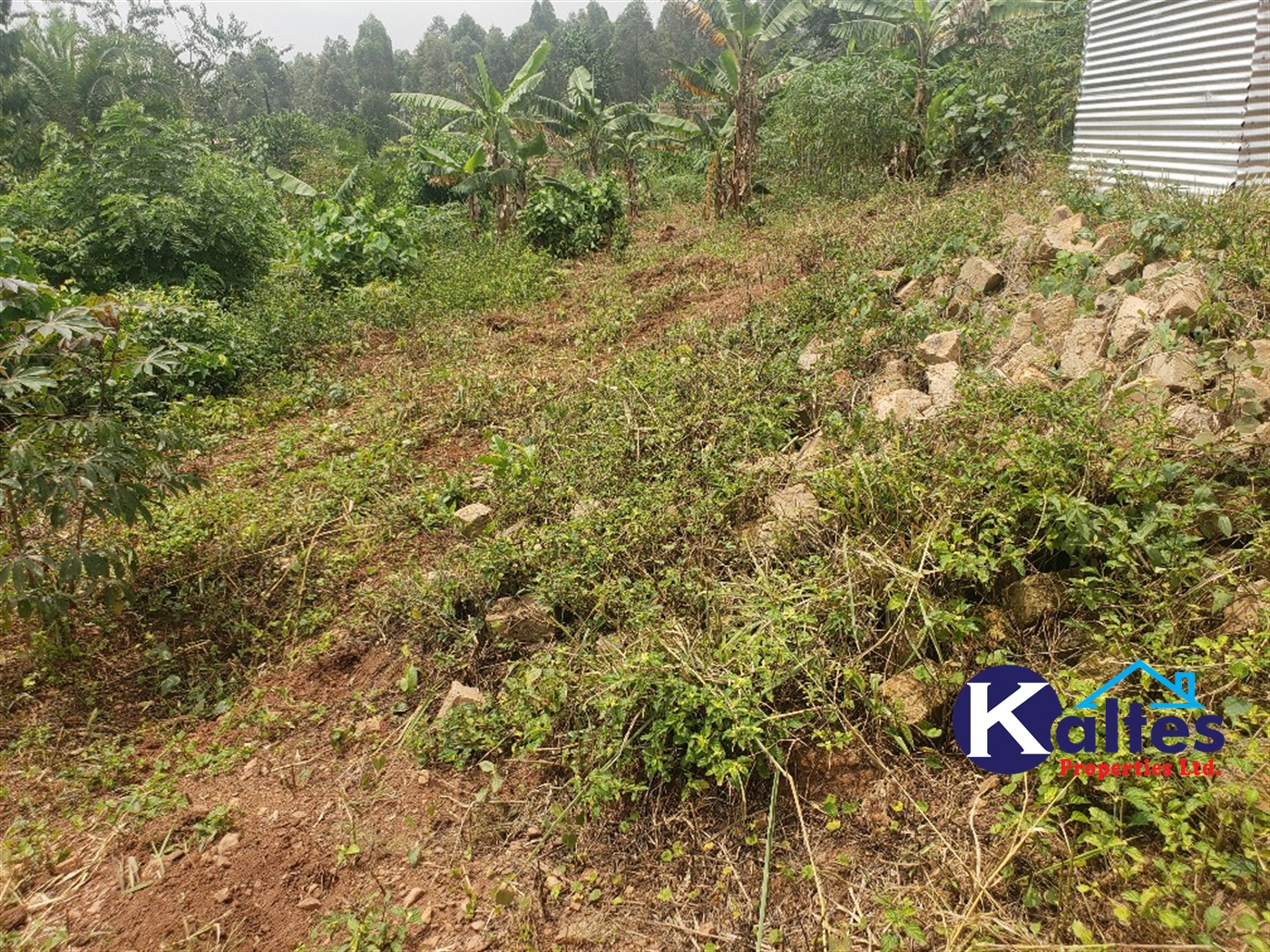 Agricultural Land for sale in Kizigo Buyikwe