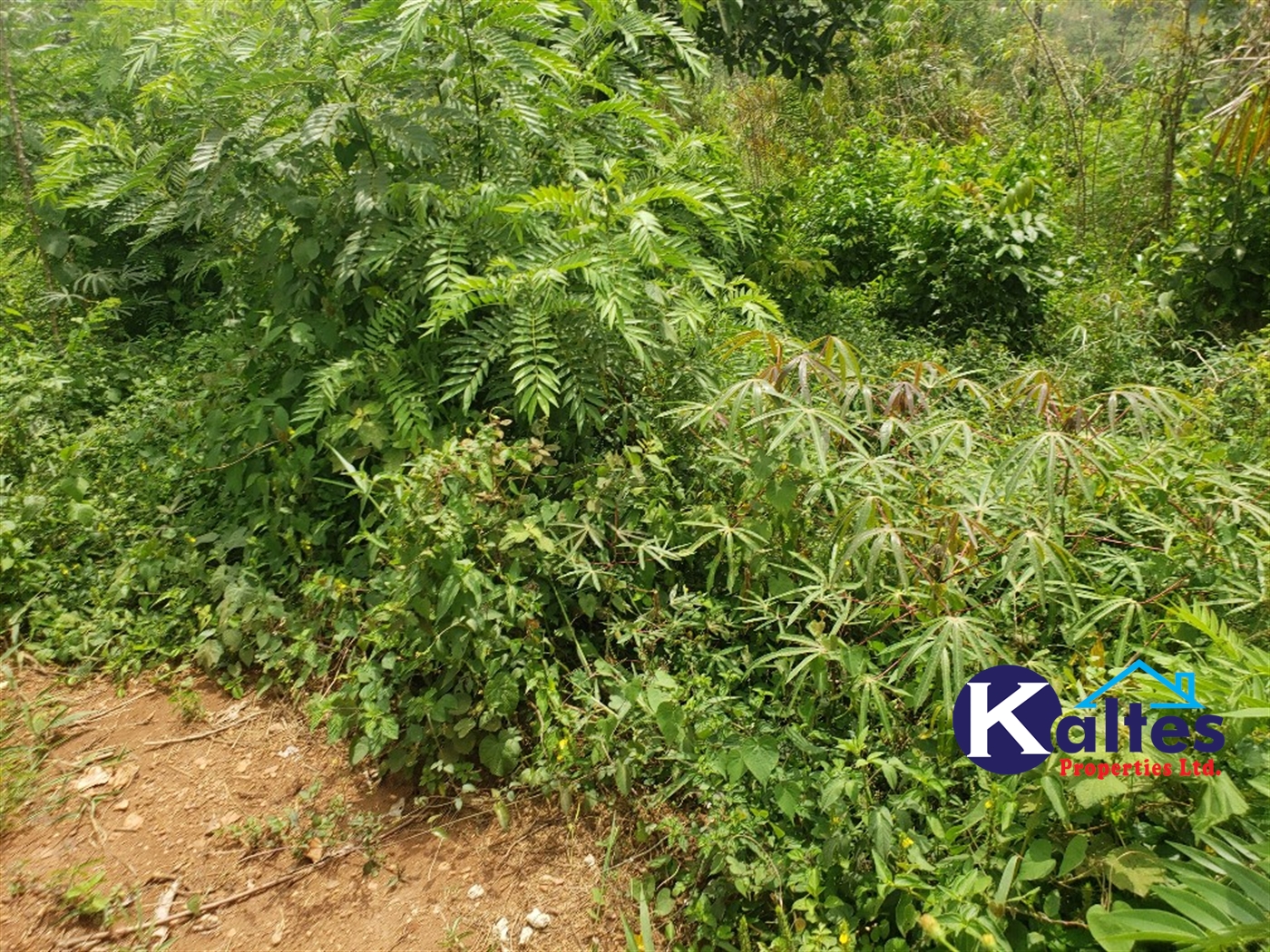 Agricultural Land for sale in Kizigo Buyikwe