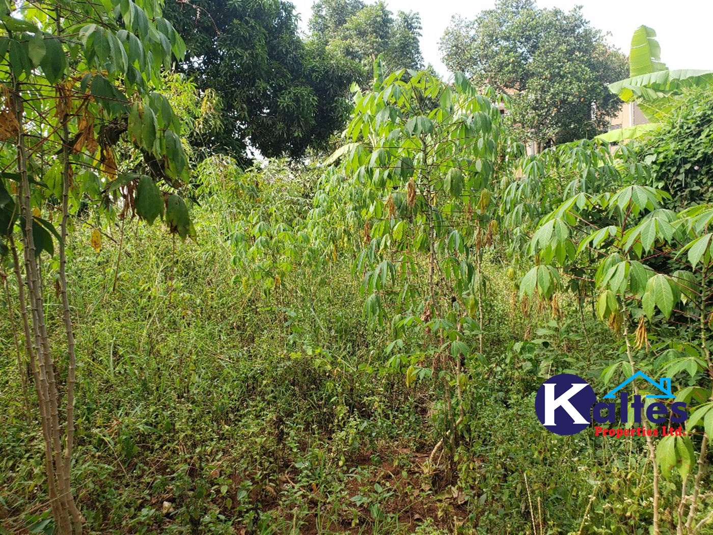 Agricultural Land for sale in Bibo Buyikwe