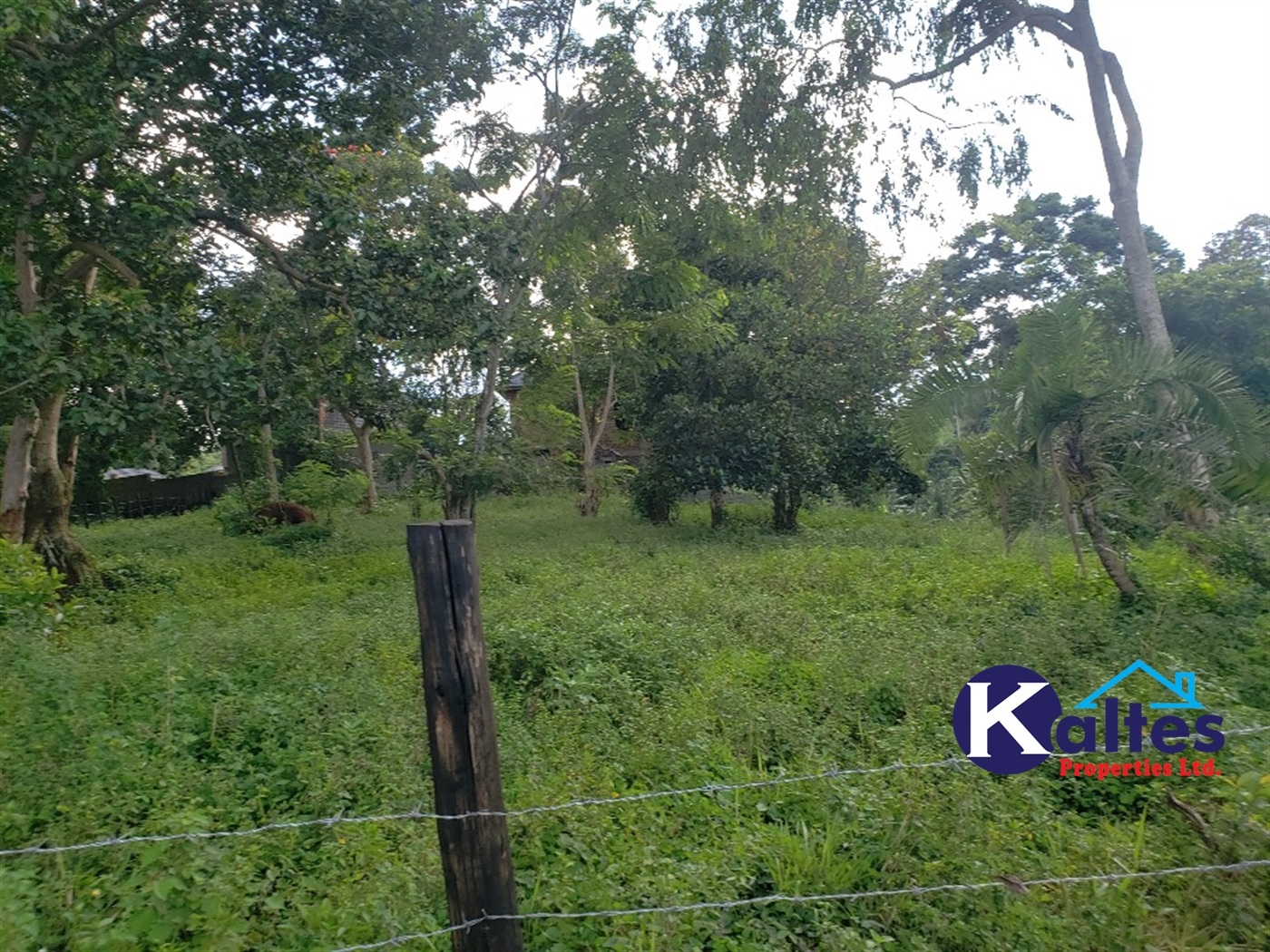 Agricultural Land for sale in Bibo Buyikwe