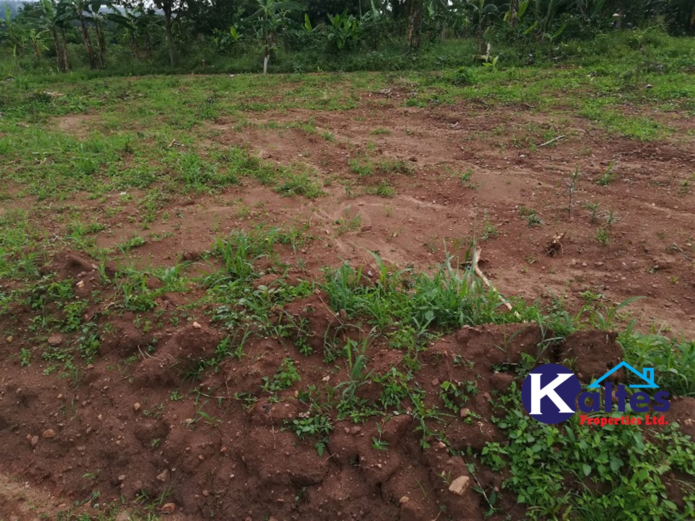Agricultural Land for sale in Bibo Buyikwe