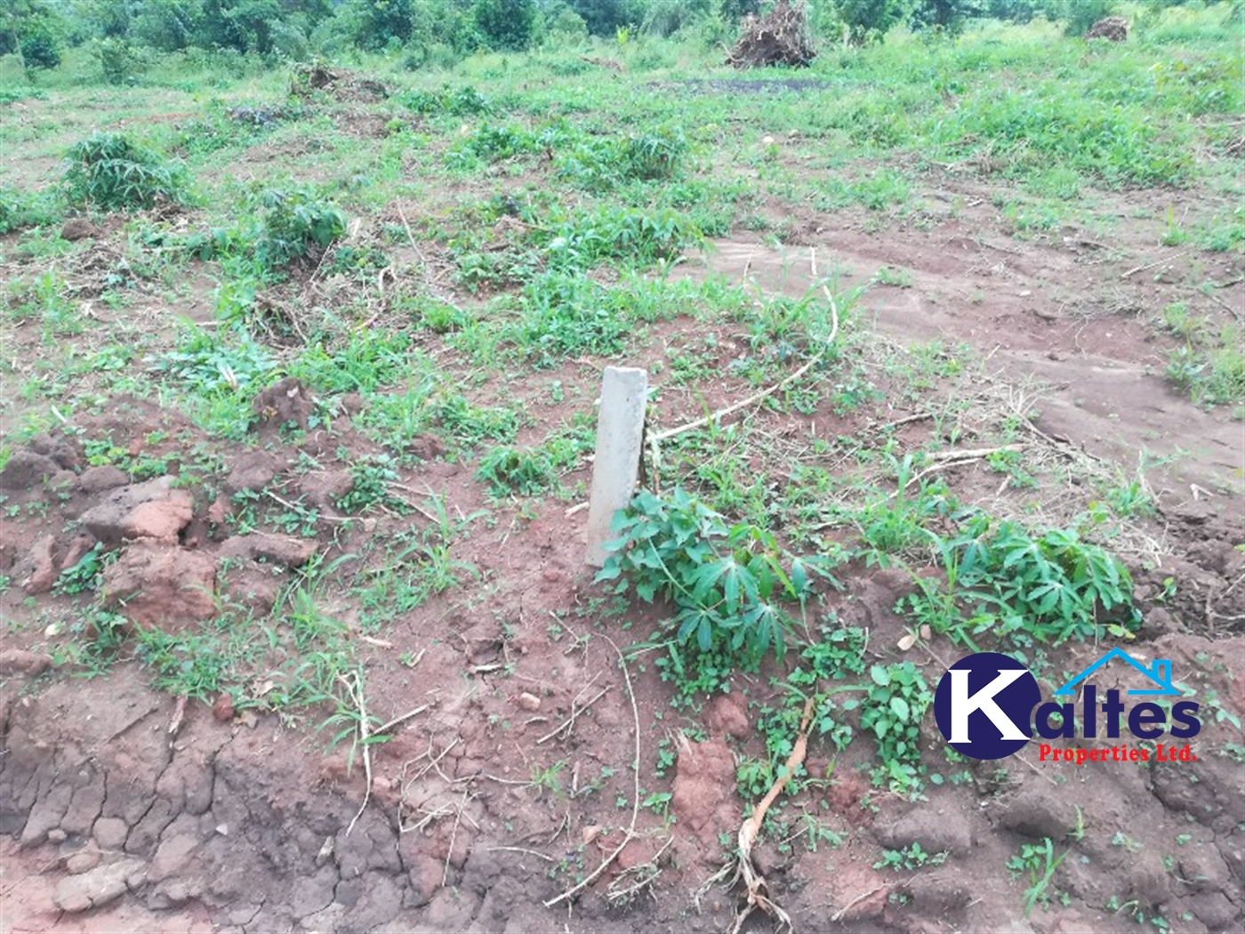 Agricultural Land for sale in Bubiro Buyikwe