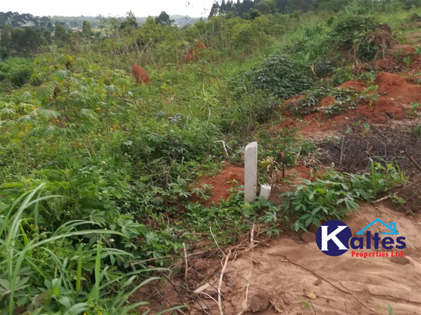 Agricultural Land for sale in Bubiro Buyikwe