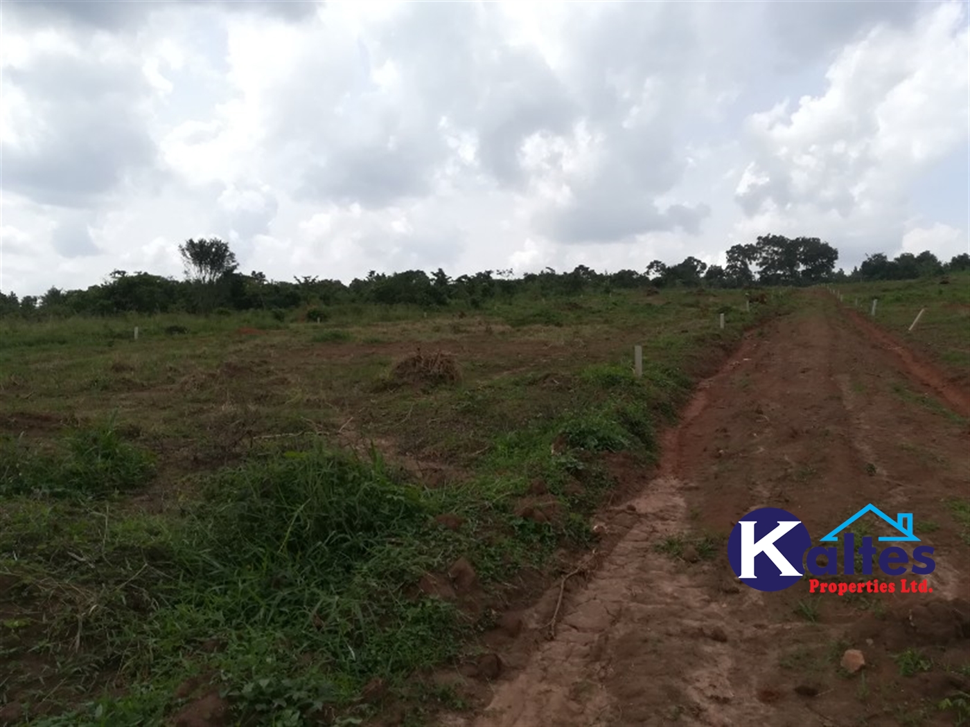 Agricultural Land for sale in Bubiro Buyikwe