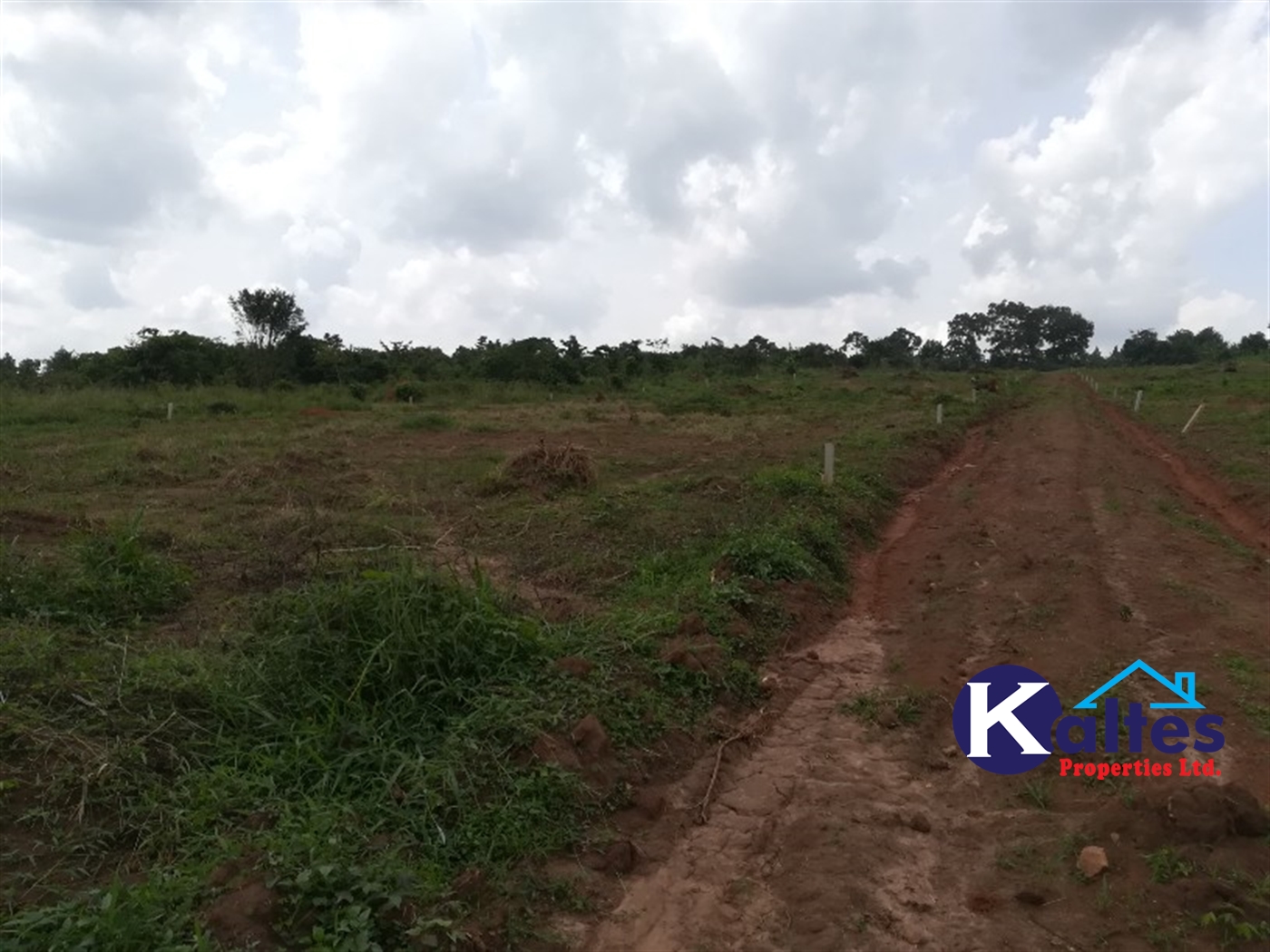 Agricultural Land for sale in Bubiro Buyikwe