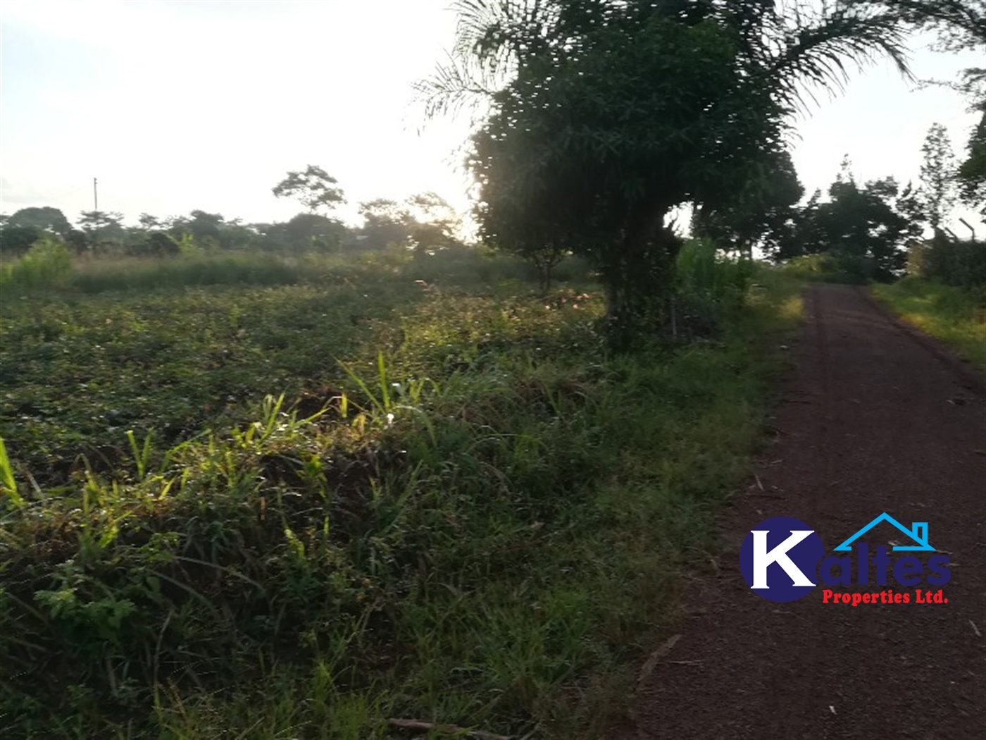 Agricultural Land for sale in Bubiro Buyikwe