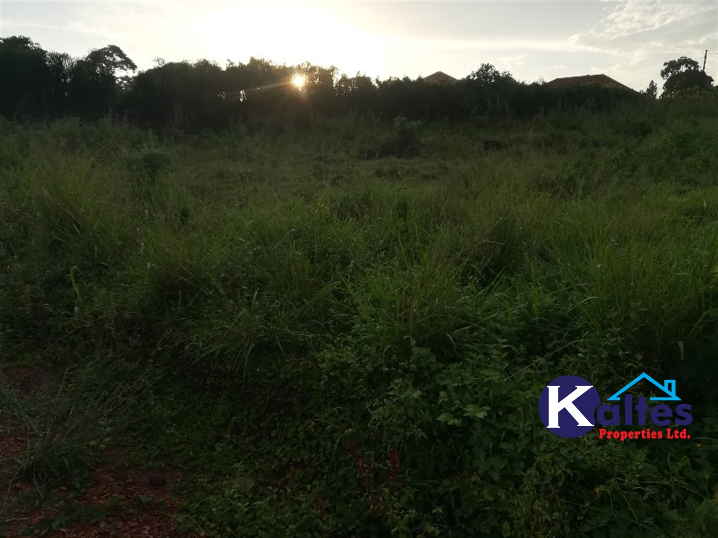 Agricultural Land for sale in Bubiro Buyikwe