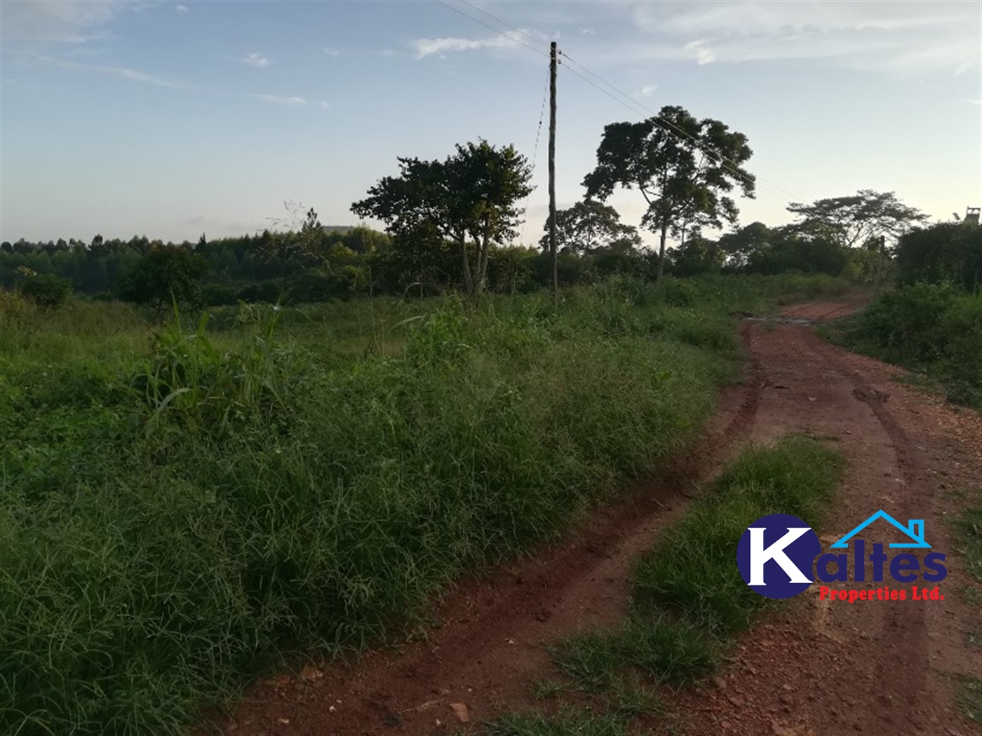 Agricultural Land for sale in Bubiro Buyikwe