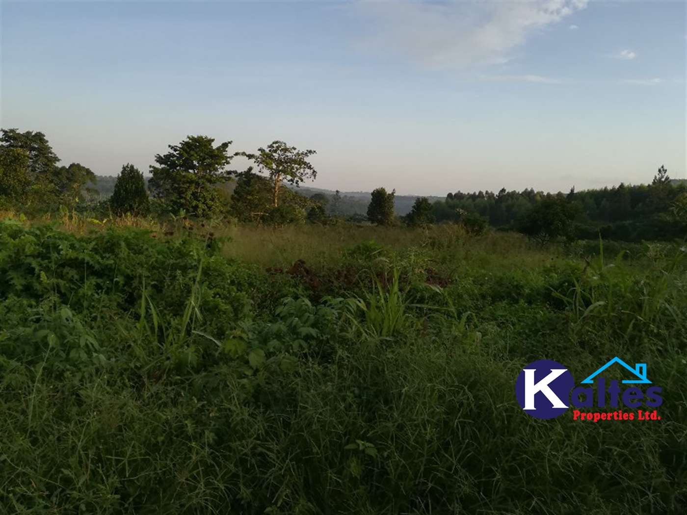 Agricultural Land for sale in Bubiro Buyikwe