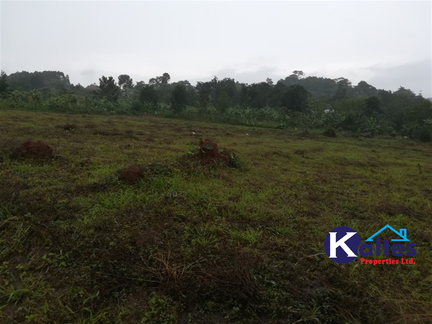 Agricultural Land for sale in Bubwa Buyikwe
