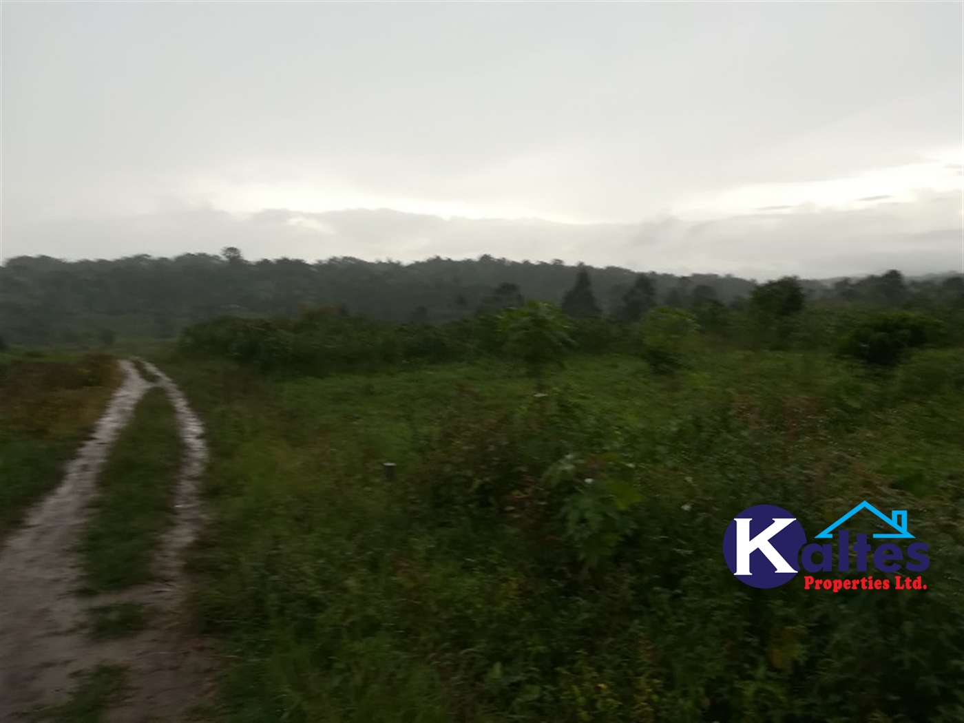 Agricultural Land for sale in Bubwa Buyikwe