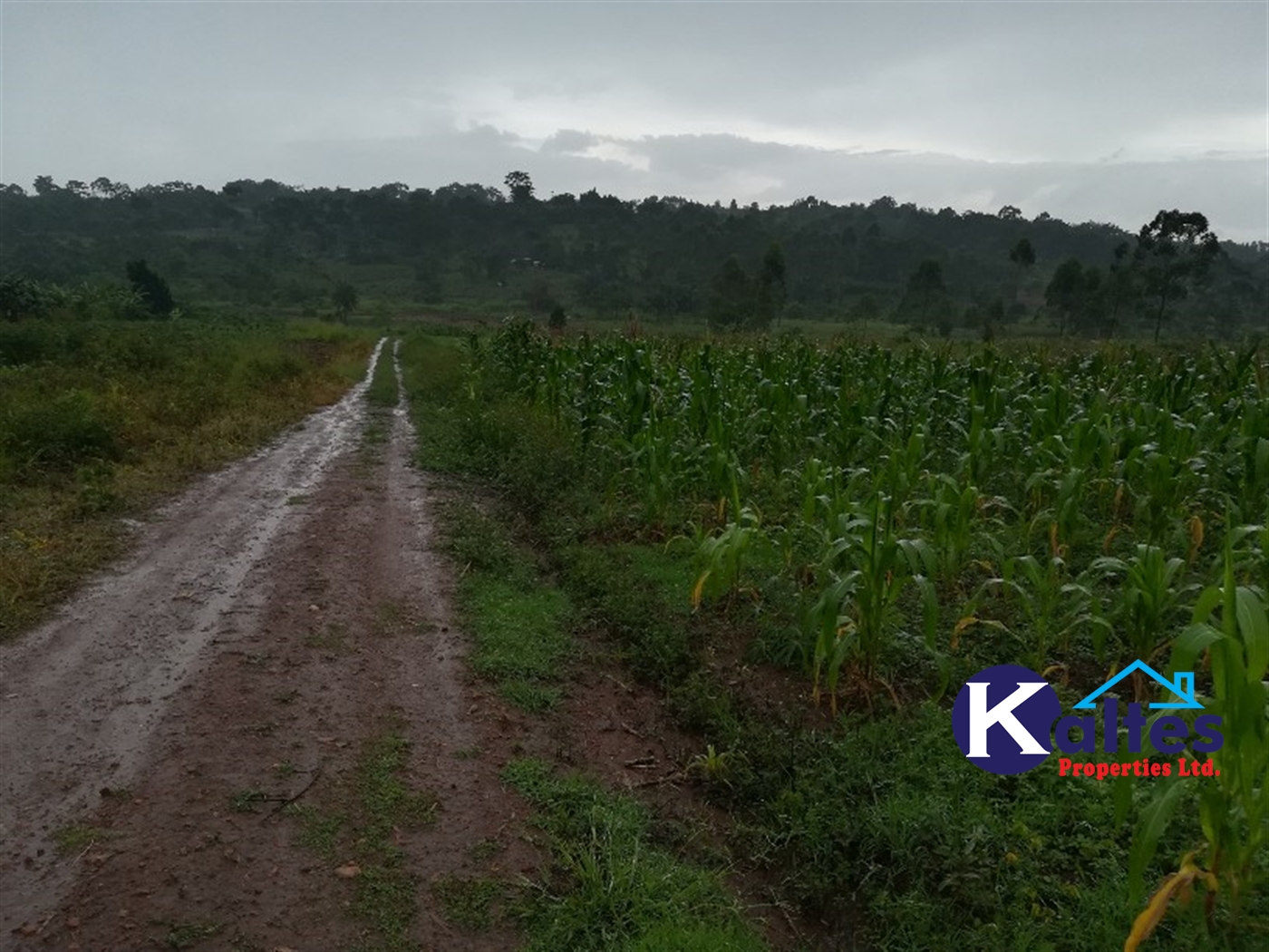 Agricultural Land for sale in Bubwa Buyikwe