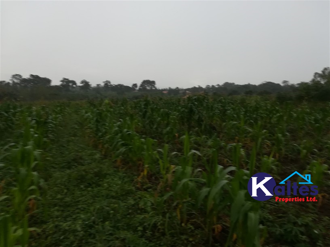 Agricultural Land for sale in Bubwa Buyikwe