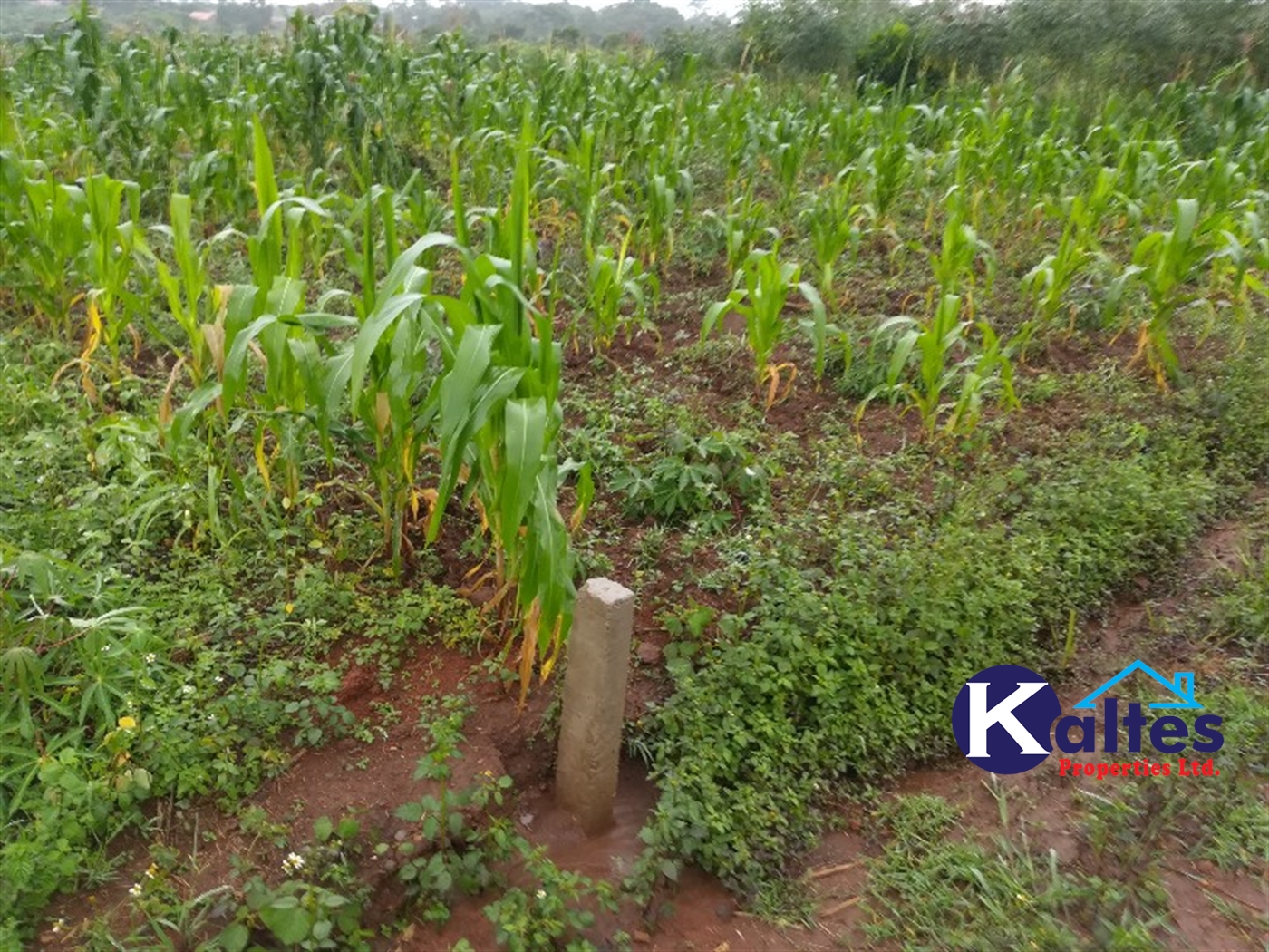 Agricultural Land for sale in Bubwa Buyikwe