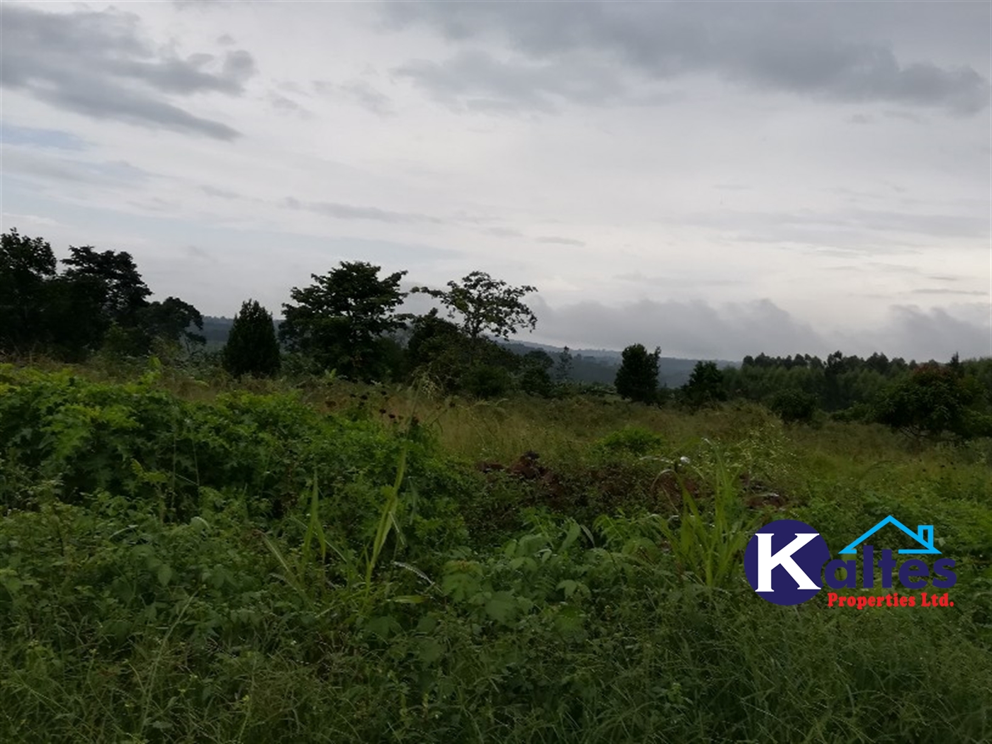 Agricultural Land for sale in Bubwa Buyikwe