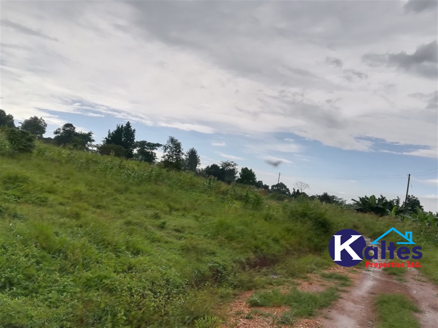 Agricultural Land for sale in Bubwa Buyikwe