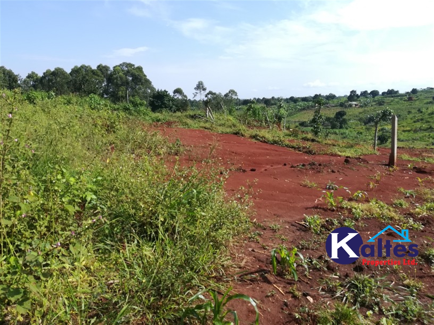 Agricultural Land for sale in Bubwa Buyikwe