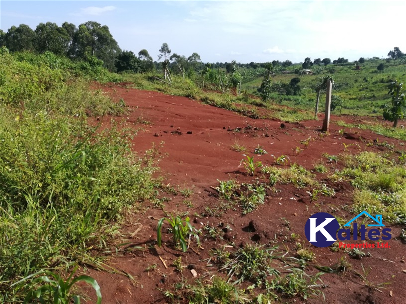 Agricultural Land for sale in Bubwa Buyikwe