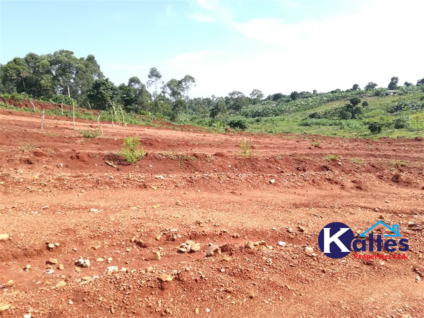 Agricultural Land for sale in Bugabe Buyikwe