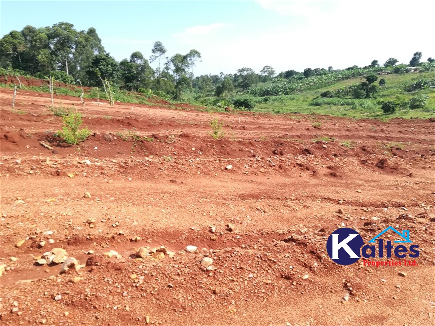 Agricultural Land for sale in Bugabe Buyikwe