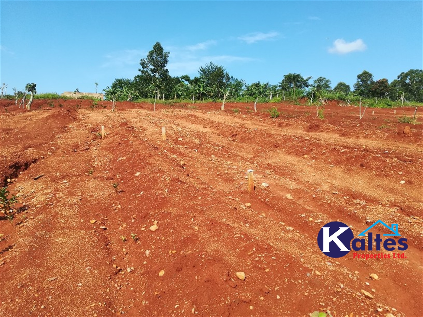 Agricultural Land for sale in Bugabe Buyikwe