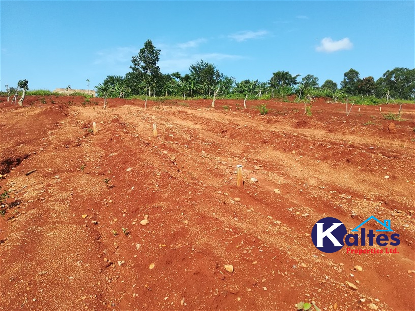 Agricultural Land for sale in Bugabe Buyikwe