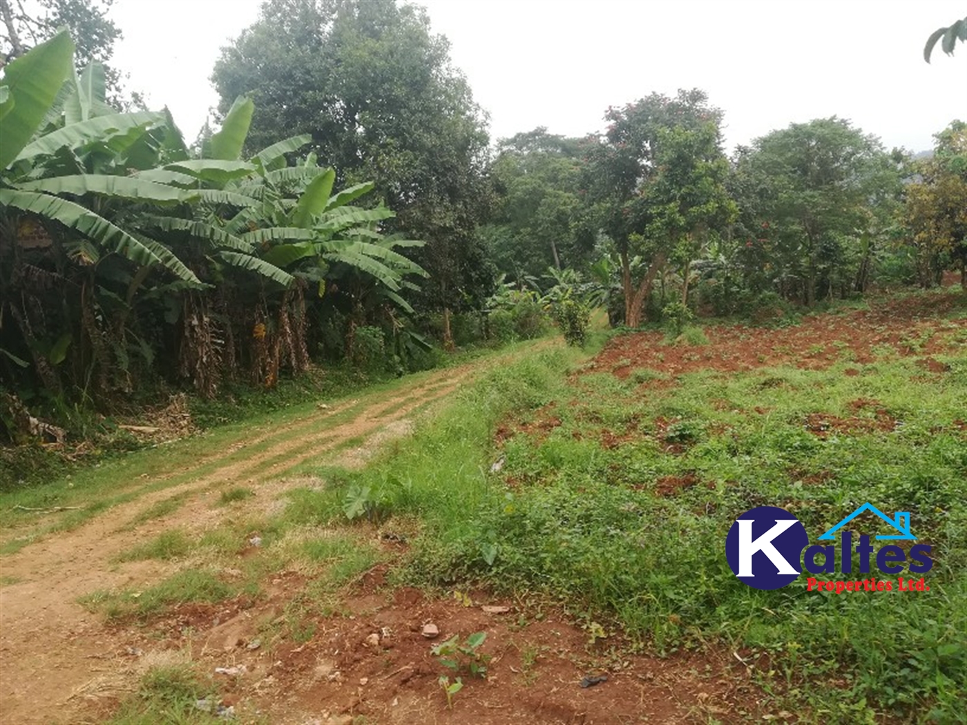 Agricultural Land for sale in Bugabe Buyikwe